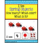 SPRING OBJECTS Build A Sentence with Pictures for Autism/Special Education/ELL